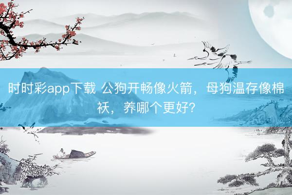 时时彩app下载 公狗开畅像火箭，母狗温存像棉袄，养哪个更好？