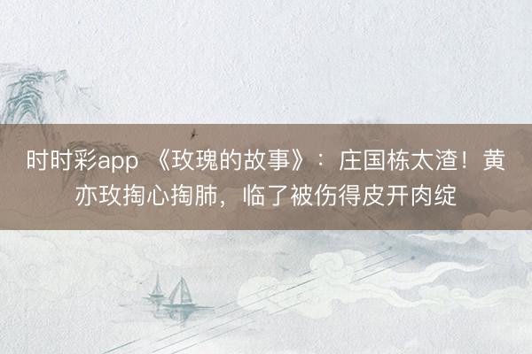 时时彩app 《玫瑰的故事》:庄国栋太渣!黄亦玫掏心掏肺,临了被伤得皮开肉绽